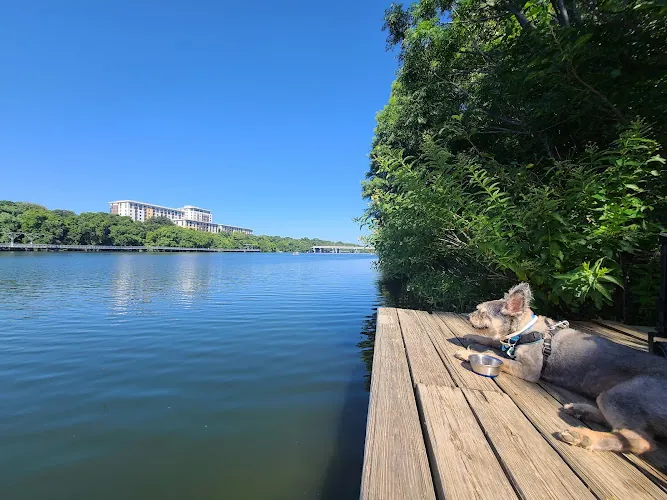 dog park lady bird lake hike and bike trail austin