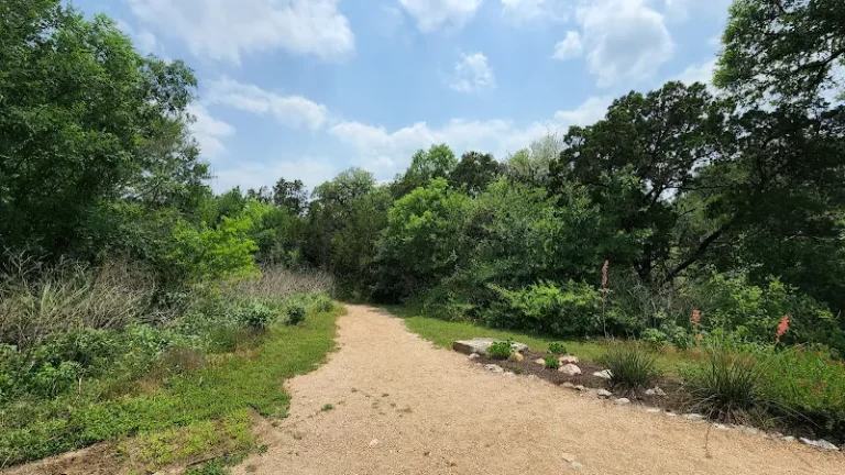 dog park mayfield park and nature preserve austin 768x432