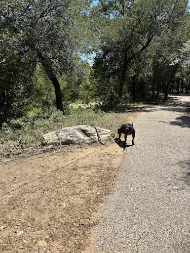 dog park pease district park austin