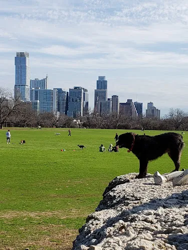 dog park rock island austin