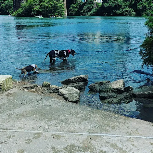 dog park sand beach park austin