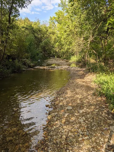 dog park west bouldin creek greenbelt austin