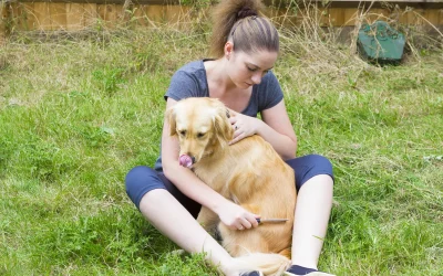 The Ultimate Guide to Flea Combs for Dogs