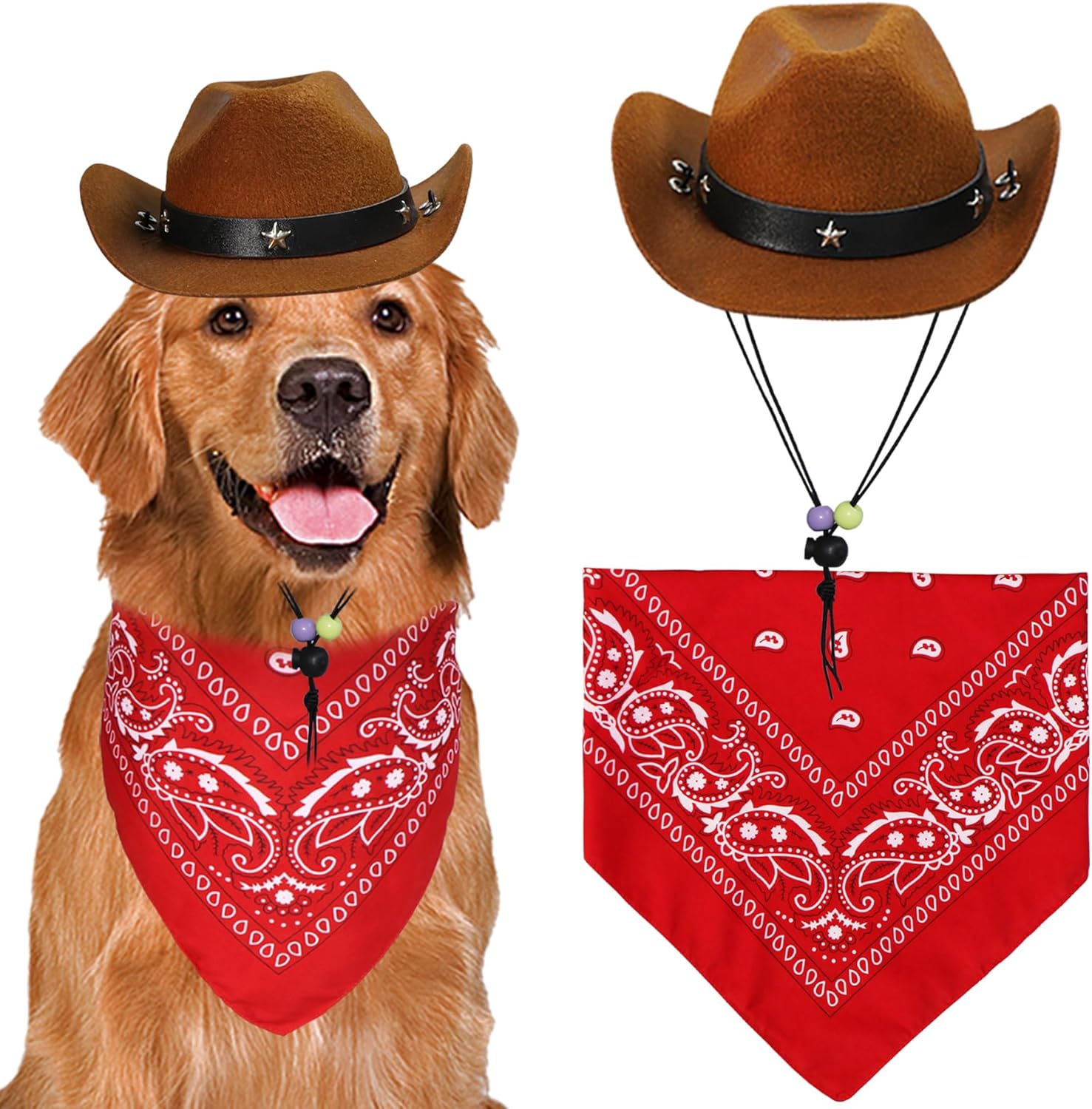 Large dog in cowboy Halloween costume with western hat and bandana 2025