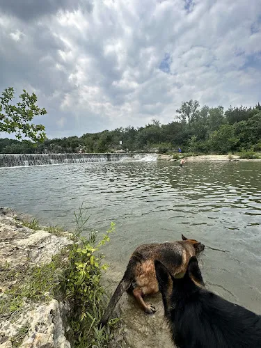 dog park blue hole georgetown result