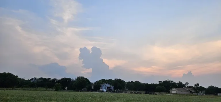 dog park bowman park round rock 1 768x355