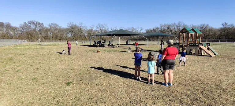 dog park brushy creek dog park hutto 1 768x347