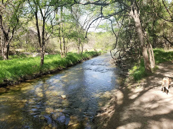 dog park brushy creek lake cedar park result