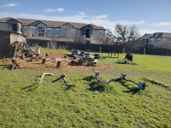 dog park bs birds and bees private dog park pflugerville 1