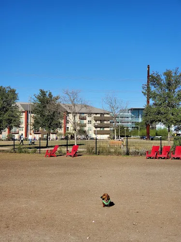 dog park domain central parks austin 1