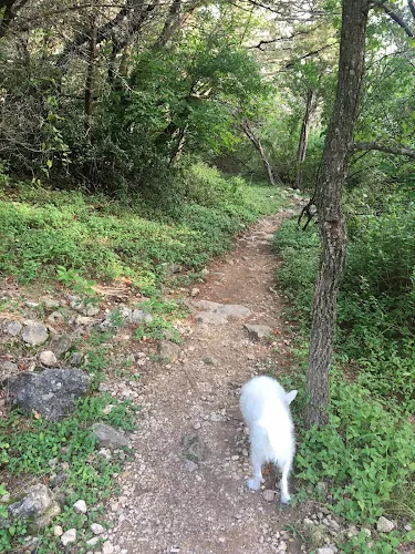 dog park great hills park salton trailhead austin 1