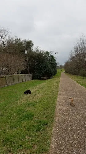 dog park great northern dog park austin 1