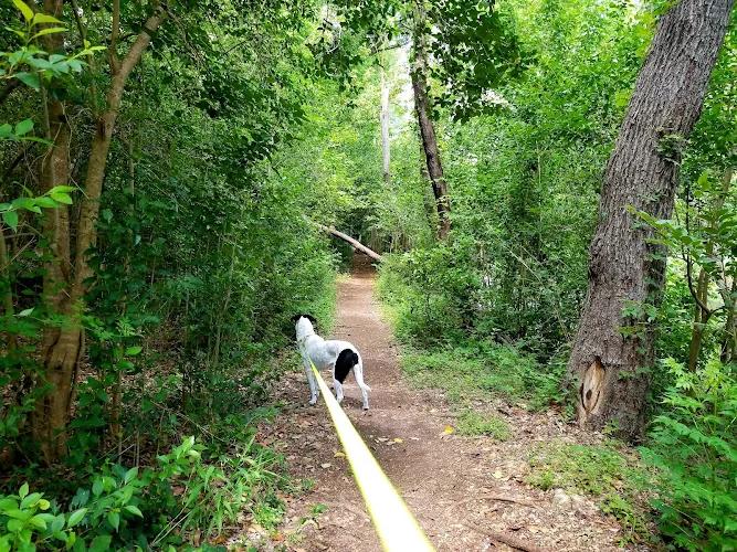dog park memorial park round rock 1