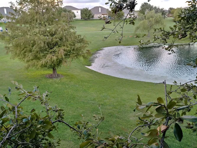 dog park meyer park round rock 1