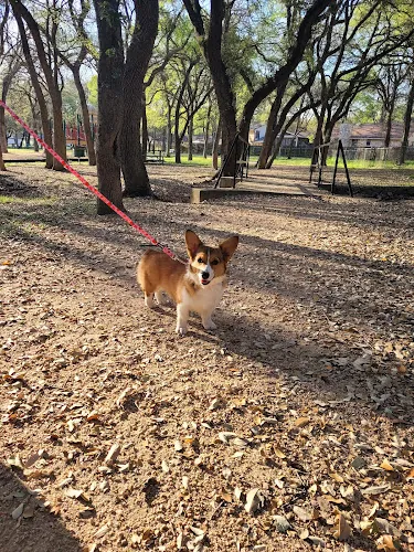dog park millrun park austin 1