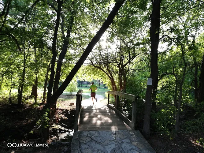 dog park mills pond recreation area austin 1