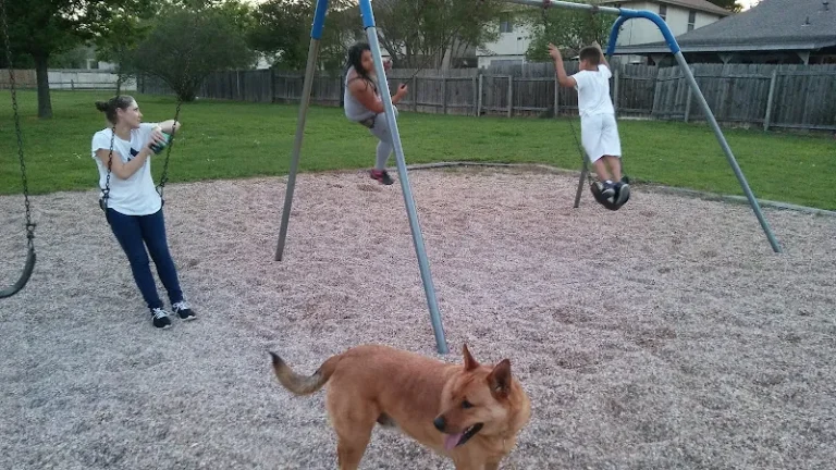 dog park moose park pflugerville 1 768x432