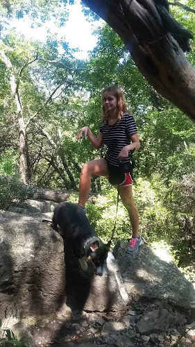 dog park northwest balcones neighborhood park austin 1