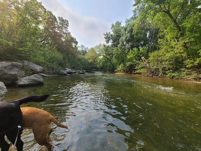 dog park riverwalk park hutto 1