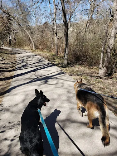 dog park rivery park georgetown result