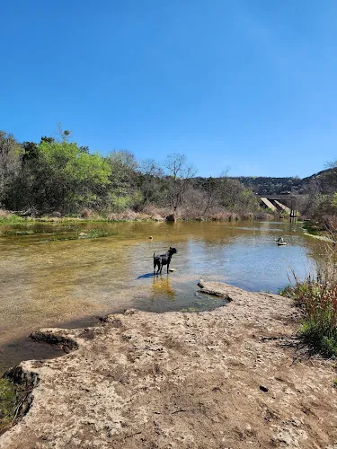 dog park the bull creek preserve austin 1