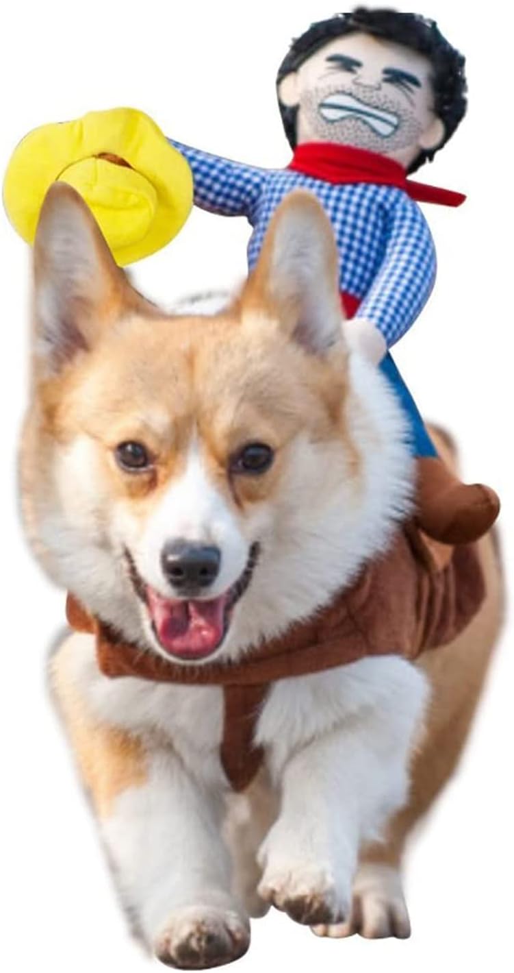Dog wearing cowboy rider costume with doll on saddle for Halloween