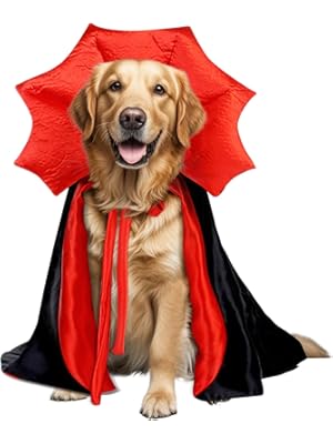Dog dressed in a vampire cape costume with red collar for Halloween 2025