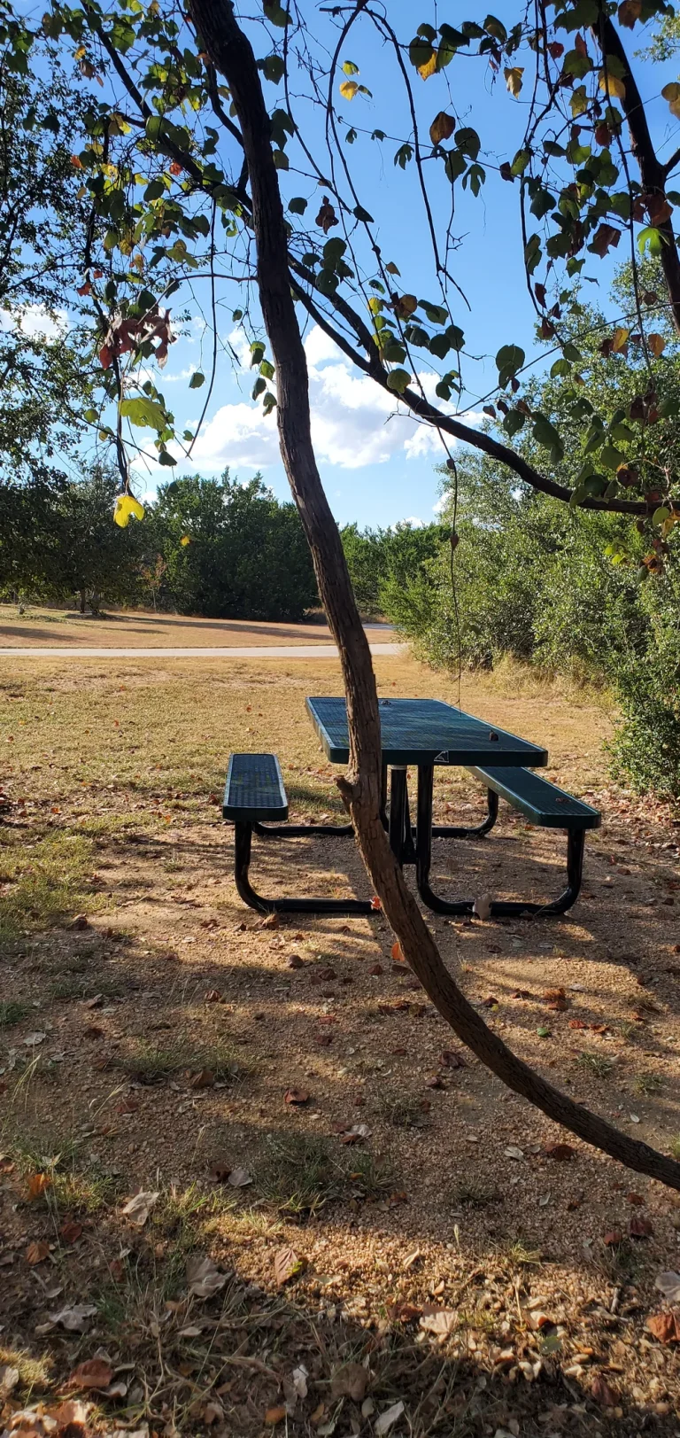 RiverRanchCountyPark 001 768x1623