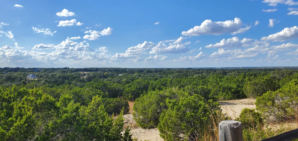Dogs waiting to come in from the cold, snowy outdoors.
