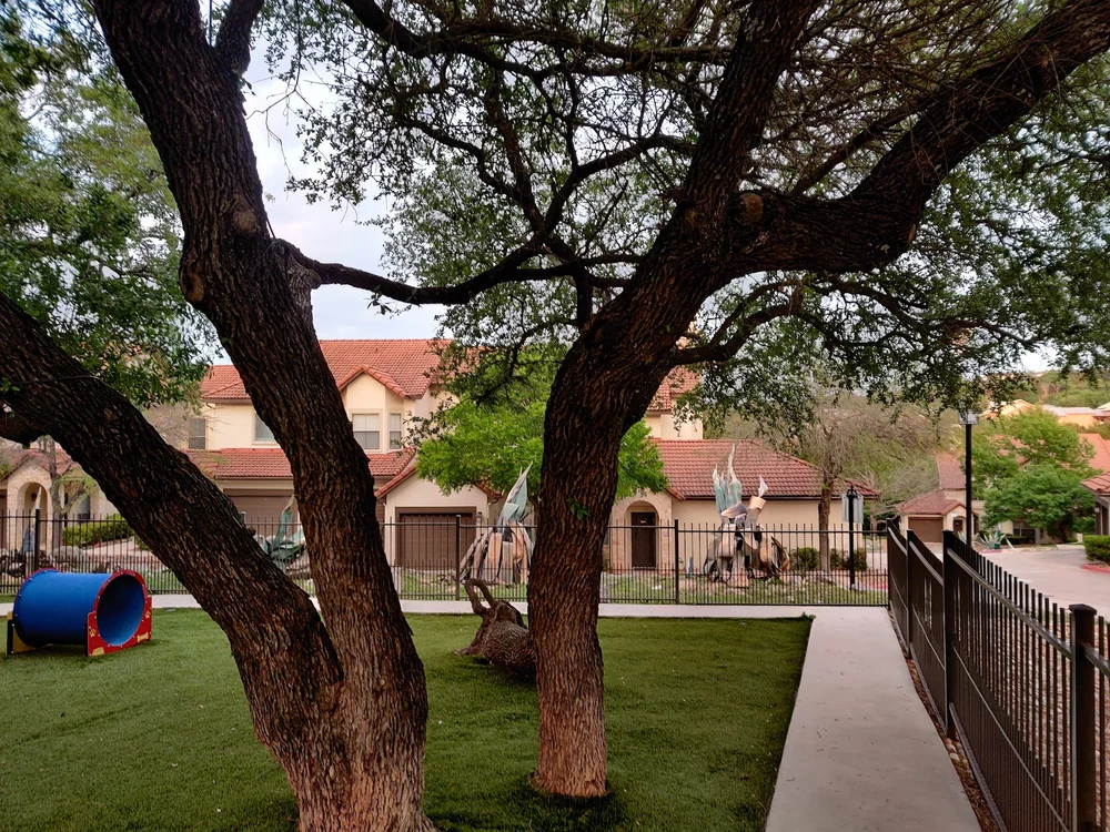 dog park dog park play area austin