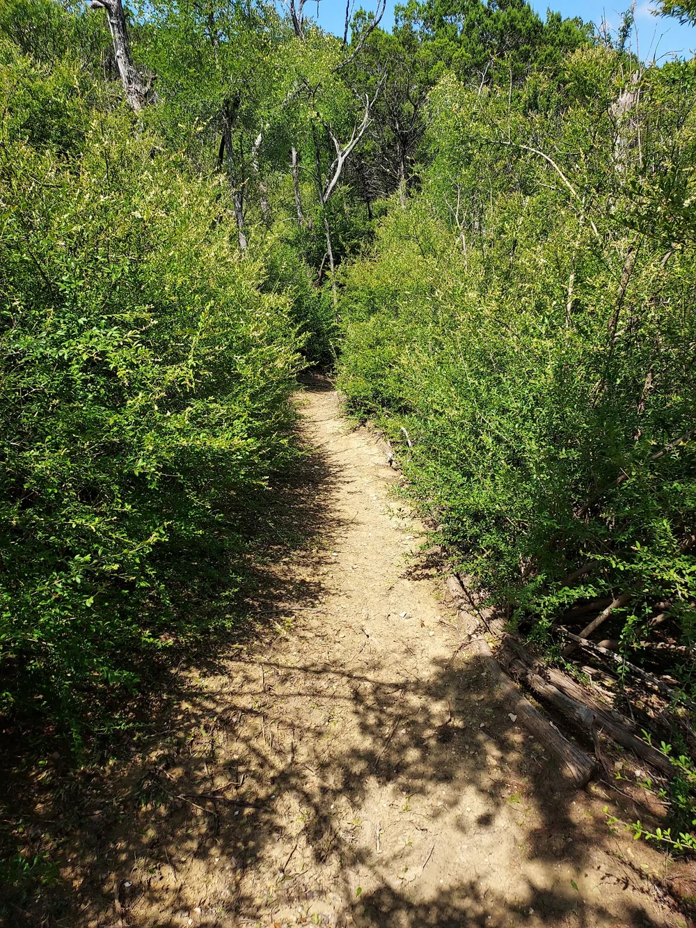 dog park little walnut creek greenbelt austin