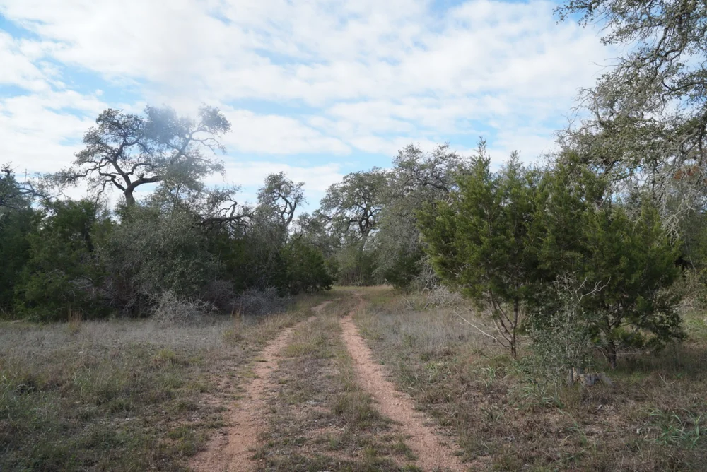 dog park slaughter creek trail austin