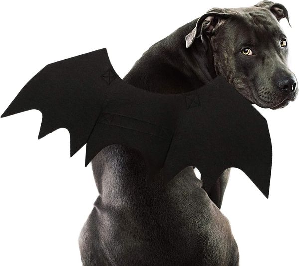 Rypet Dog Bat Costume Halloween Bat Wings