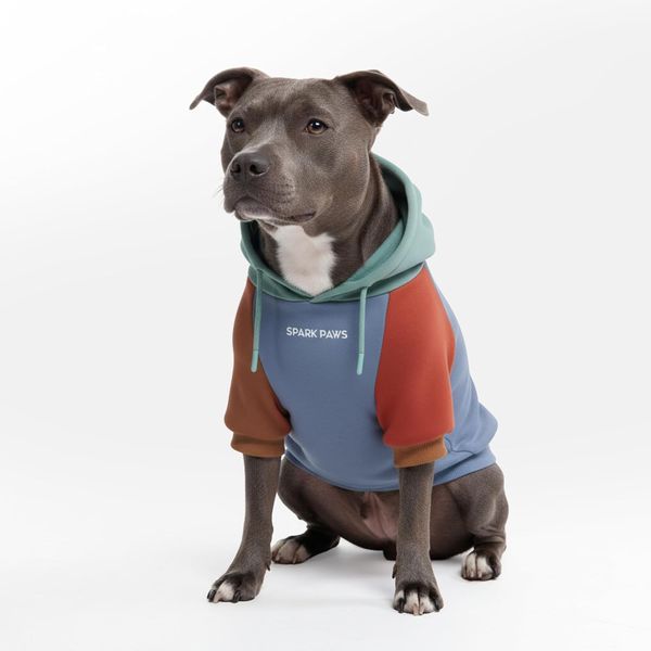 Spark Paws Dog Hoodie